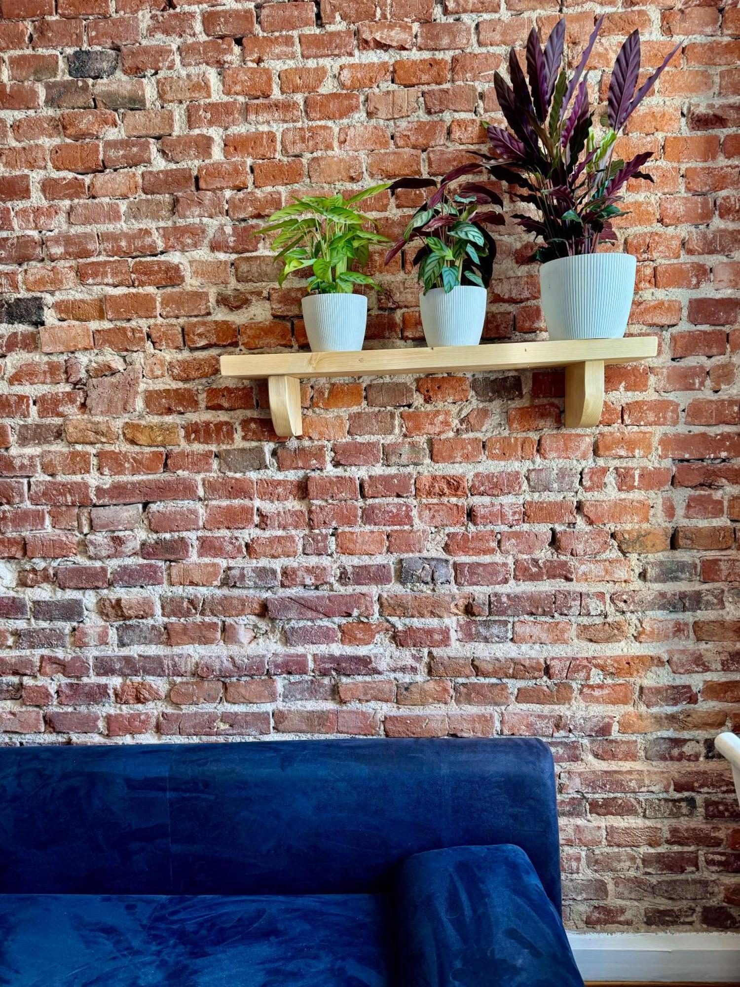 Bohemian Apartment In Center Of Kazimierz District クラクフ エクステリア 写真