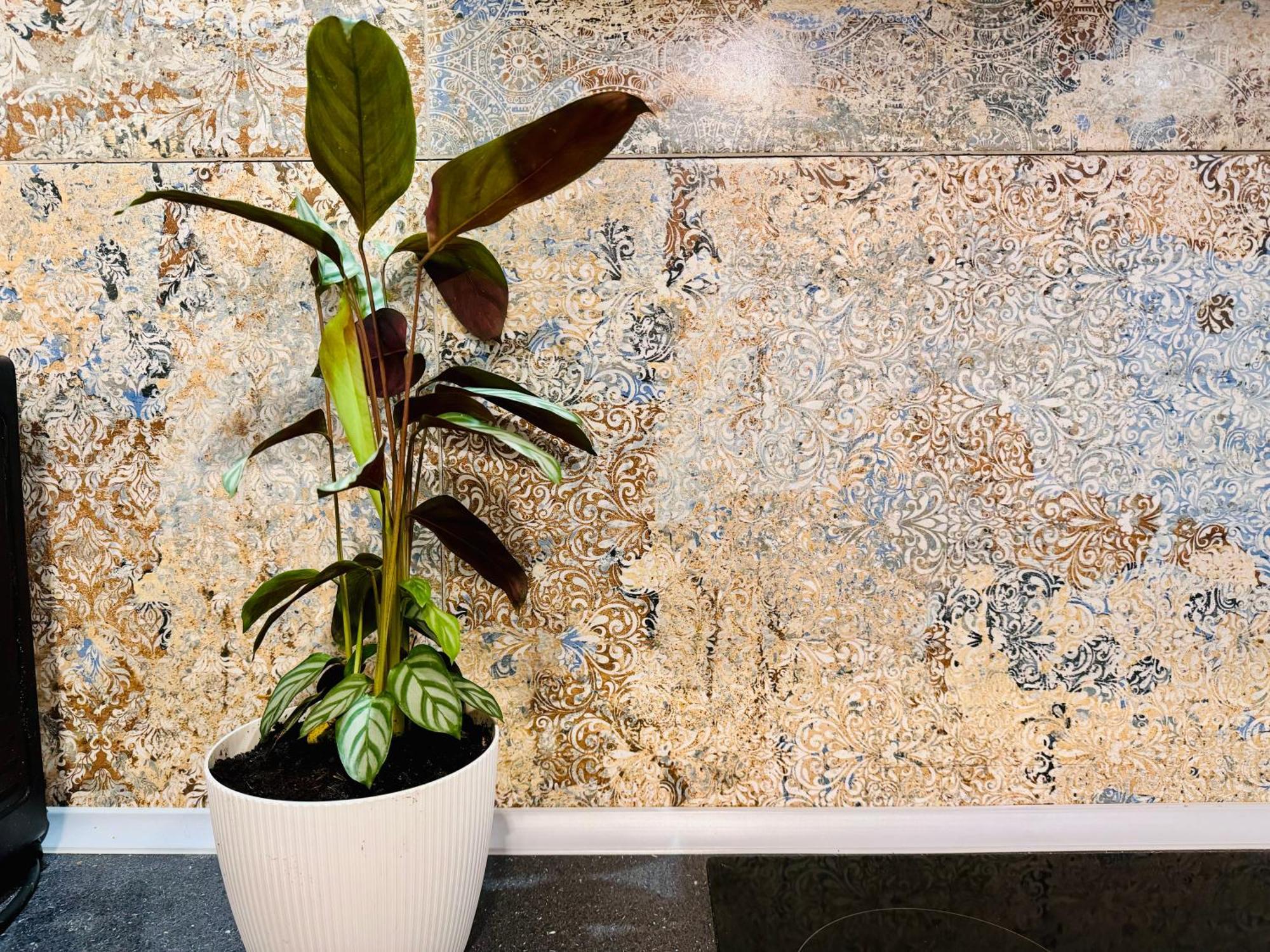 Bohemian Apartment In Center Of Kazimierz District クラクフ エクステリア 写真